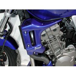 Ecopes de radiateur ERMAX HONDA CB 900 hornet 2002-2007