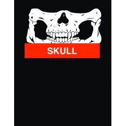 Tour de cou multifonctionnel en microfibres SKULL
