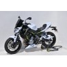 Capot de selle Ermax pour KAWASAKI Z650 2017-2019 1