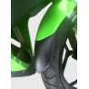 Prolongateur de garde boue avant ermax KAWASAKI NINJA 300 2013-2016 0
