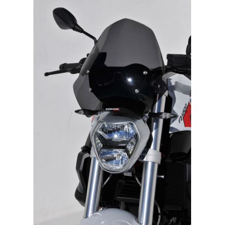Saute vent ermax BMW R1200R 2015-2018
