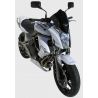 Saute Vent ERMAX KAWASAKI ER6 N 2009-2011 0
