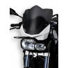 Saute vent ermax BMW F800R 2008-2014 0