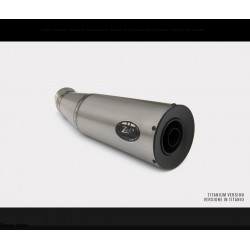 Echappement Zard Bad Child pour BMW NINE T 1200 2015-2020