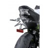 Support de plaque ERMAX KAWASAKI Z900 2020 6