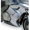 Flancs de carénage Ermax pour HONDA CBF 1000 2006-2010 0