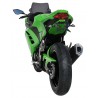 Support de plaque ERMAX KAWASAKI NINJA 300 2013-2017 2