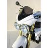 Tête de fourche Ermax pour TRIUMPH Speed Triple 1050 2005-2010 0