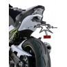 Support de plaque ERMAX KAWASAKI Z900 2017-2019 1