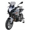 bulle type origine ERMAX BMW F900XR 2020 3