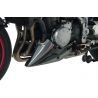 Sabot moteur ERMAX KAWASAKI Z900 2017-2019 6