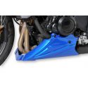 Sabot moteur ERMAX TRIUMPH 675 STREET TRIPLE / R 2013-2015