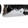 Sabot moteur ERMAX TRIUMPH 675 STREET TRIPLE / R 2013-2015 2