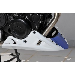 Sabot moteur evo ERMAX BMW F800R 2015-2020