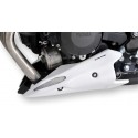 Sabot moteur ERMAX YAMAHA XJ6N 2013-2016