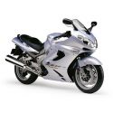 bulle taille origine ERMAX KAWASAKI ZZR 1200 2002-2005
