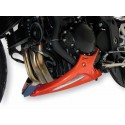 Sabot moteur ERMAX TRIUMPH 1050 SPEED TRIPLE 2008-2010