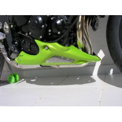 Sabot moteur ERMAX TRIUMPH 675 STREET TRIPLE 2008-2011