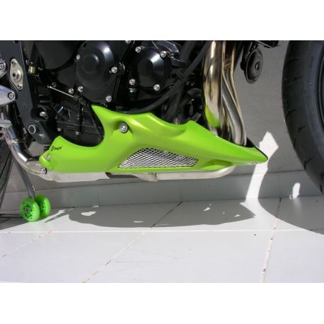 Sabot moteur ERMAX TRIUMPH 675 STREET TRIPLE 2008-2011