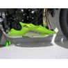 Sabot moteur ERMAX TRIUMPH 675 STREET TRIPLE 2008-2011 0