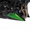Sabot moteur ERMAX KAWASAKI Z900 2020 5