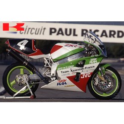 BULLE DE PHARE (PAIRE) ERMAX POUR Kawasaki ZXR 7 91-92