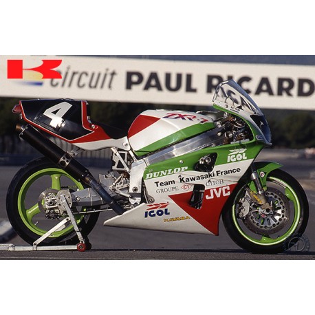 BULLE DE PHARE (PAIRE) ERMAX POUR YZF R1 2015-2018