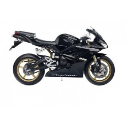 BULLE DE PHARE (PAIRE) ERMAX POUR Triumph daytona