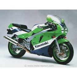 BULLE DE PHARE (PAIRE) ERMAX POUR Kawasaki ZXR 750 93-95