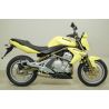 Echappement ARROW MAXI RACE-TECH KAWASAKI ER6N ER6F 2005-2011 650 VERSYS 2007-2014 3