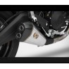 Echappement Zard Bas Ducati Monster 797 2