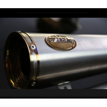 Ligne complète Double Echappement Zard Ducati  Monster 1200S et 1200R 2016-2018