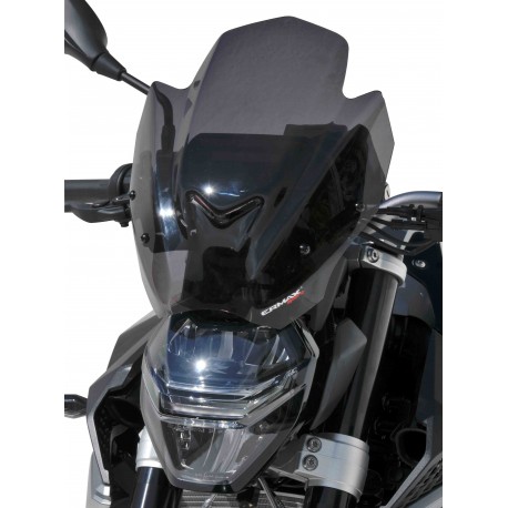 SAUTE VENT ERMAX SPORT BMW F900R 2020