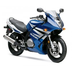 bulle haute protection + 5cm ERMAX SUZUKI GS500F 04-08