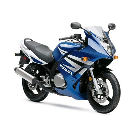 bulle haute protection ERMAX SUZUKI GS500F 2004-2008