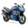 bulle haute protection ERMAX SUZUKI GS500F 2004-2008 1