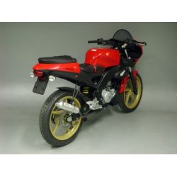 Echappement GIANNELLI APRILIA RS 50 TUONO MBK X-POWER YAMAHA TZR 50 PEUGEOT XR6