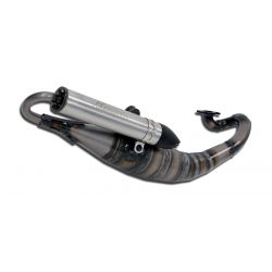 Echappement GIANNELLI REKORD scooter PEUGEOT ELYSEO ROAD TREKKER VIVACITY