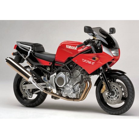 Bulle taille origine ERMAX YAMAHA TRX 850 1996-2001