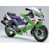 bulle taille origine ERMAX KAWASAKI ZX6R 1995-1997 2