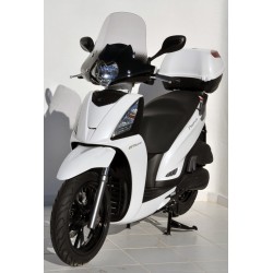 Pare brise ERMAX SPORTIVO PIAGGIO 125 PEOPLE 300 PEOPLE GTI 2010-2015