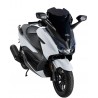 Bulle ERMAX SPORT HONDA 125 FORZA 2018-2020 1