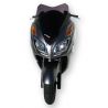 bulle Sport ERMAX HONDA 300 FORZA 2013-2017 1