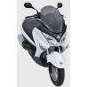 bulle ERMAX sport SUZUKI UH 125 BURGMAN 2007-2020 1