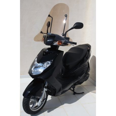 Pare brise ERMAX CLASSICO 65 cm découpe M