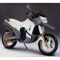 bulle ERMAX racing godier genoud 650 raid