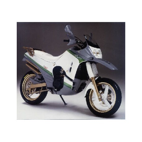 bulle ERMAX racing godier genoud 650 raid