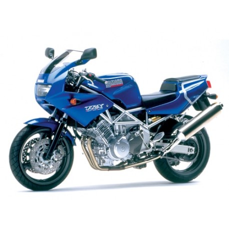 bulle ERMAX racing YAMAHA TRX 850 1996-2001