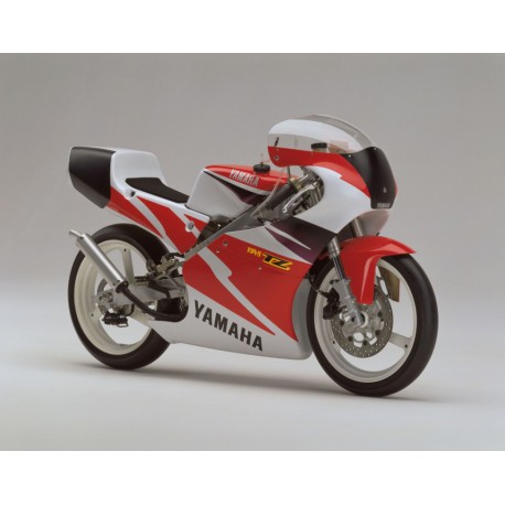 bulle ERMAX racing YAMAHA TZ 125 1994-1998