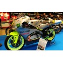 bulle ERMAX racing YAMAHA TZM 250 1999-2000